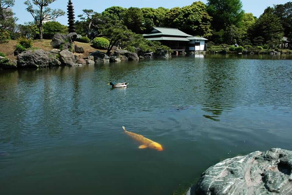 清澄庭园